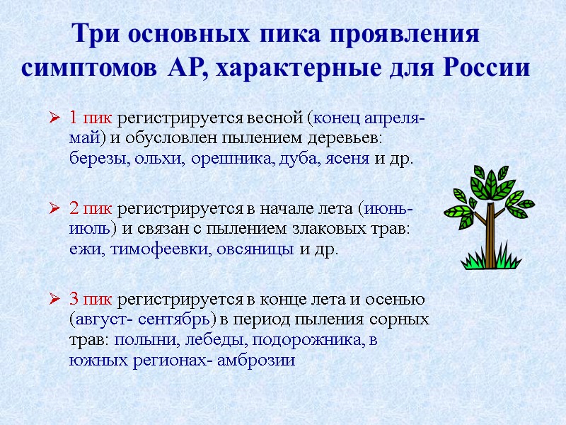 Три основных пика проявления симптомов АР, характерные для России 1 пик регистрируется весной (конец